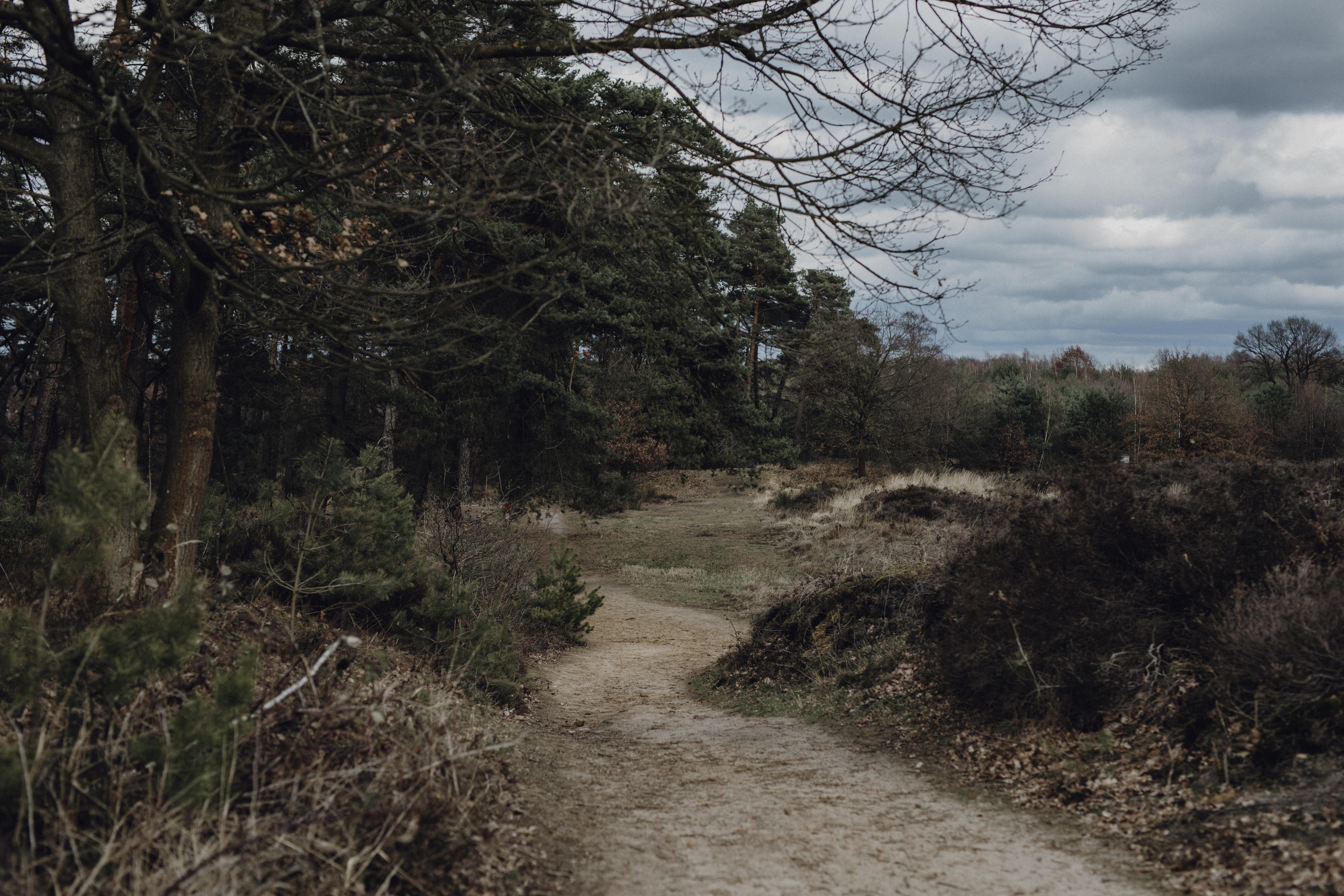 Wahner Heide im Herbst